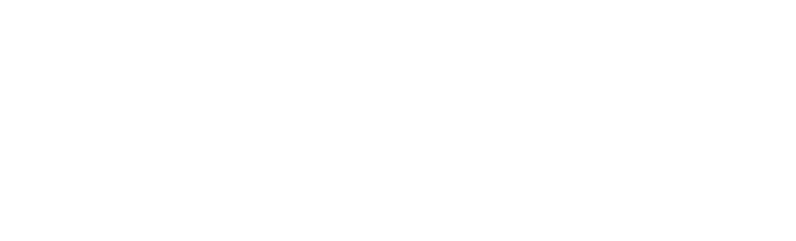 Skan